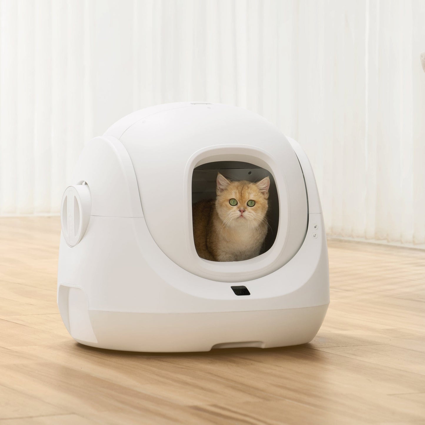 Catlink Scooper SE