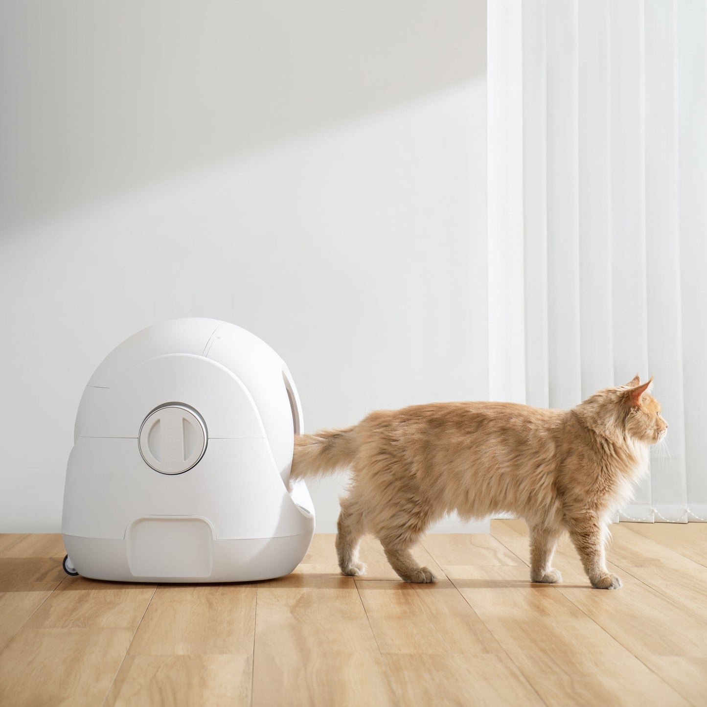 Catlink Scooper SE